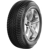 шина Nexen Winguard Ice Plus 205/55R16 91T в Санкт-Петербурге