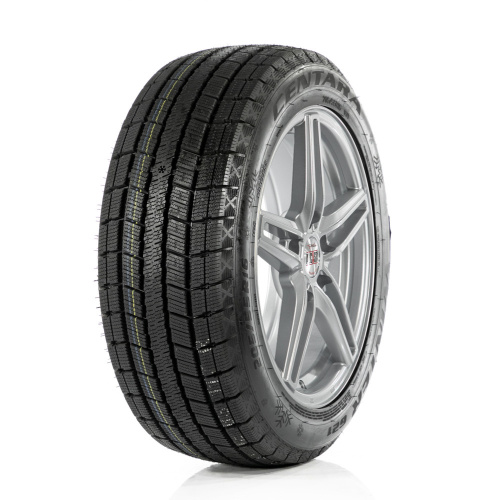 Centara Winter RX621 245/45R19 102H XL