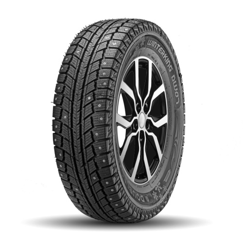 DoubleStar DW07 205/55R16 91T шип