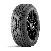 шина DoubleStar DW09 245/45R18 96T в Санкт-Петербурге