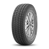 шина Roadstone Winguard SUV 255/50R19 107V в Санкт-Петербурге