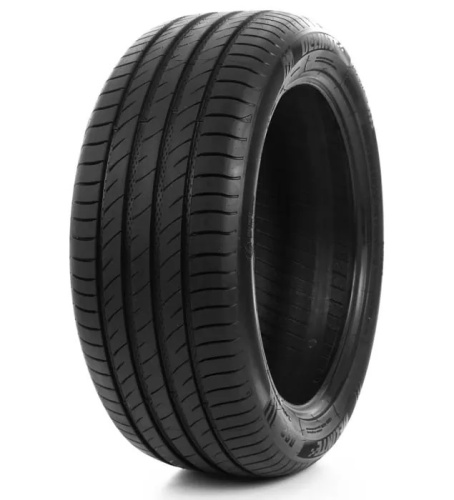 Delinte DS-2 SUV 225/70R16 103H